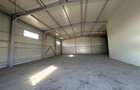 Vanzare depozit/hala/spatiu industrial Chitila - Centura - Rudeni - 10
