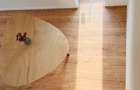 Casa individuala, nZeb cu pompa de caldura si finisaje premium,peste 500mp teren - 12