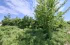 com. Buturugeni, sat Posta, stradal DJ 412A, intravilan, 2720 mp - 11