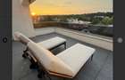 Penthouse Iancu Nicolae cu piscima - 1