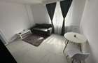 Apartament 2 cam | decomndat | RENOVAT COMPLET | P-ta Resita - 3