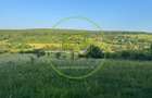 Teren extravilan 550mp  la drum ,spre vanzare in Vestem - 5