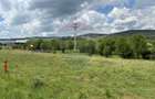 Teren de vanzare 13783mp, front la DN, parcela unica zona de vest - 7