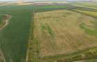 Teren investițional strategic 44.700 mp Arad Vest - 4
