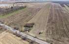 Teren intravilan de inchiriat 44700 mp langa centura Bacaului - 6
