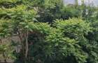 Apartament cochet - short time rent - 2