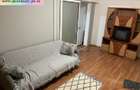 Apartament 2 camere de inchiriat : Central-Cantacuzino (Vasile Lupu) - 3