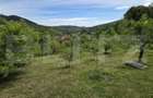 Casă de vacanță, 80 mp, refugiu în natură, 15 min de oraș, zona Ampoita - 20
