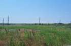 OCAZIE !EFORIE NORD  TEREN DE 1.666 MP PRET 199.000 EURO - 7