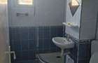 Apartament 1 camera de vanzare - 7