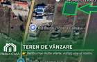 Teren intravilan Posta Calnau 1919mp – 40.000 euro - 1