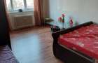 2 camere metrou 1 decembrie 1918 - pet friendly - 5