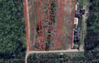 EXCLUSIVITATE-PROIECT UNIC PADUREA SNAGOV! Loturi 400-600 m2 ,PUZ rezidential  - 3