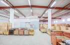Spațiu industrial 1000 mp de închiriat în zona Vest - 4