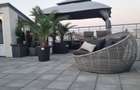 HERASTRAU PENTHOUSE NORDULUI  APARTAMENT 3 CAMERE LUX LINGA PARC - 2