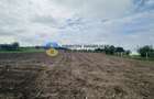 Teren- Com. Stefan cel Mare- jud. Neamt - 12