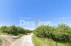 Teren de Vânzare – 34.485 mp | Câmpulung Muscel | Zonă Panoramică & Dezvoltare - 6