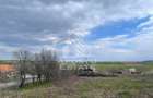 Teren intravilan pentru investitie, 2896 mp, Herneacova Timis - 2