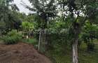 Casa veche zona Bogdanestilor cu teren 1033mp - 4