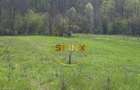 Teren intravilan Dobresti-Arges | 1000 mp - 6