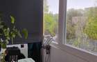 Brancoveanu-Dorohoi-Apartament de 3 camere - 3