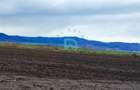 Teren Agricol, Cristian - 14