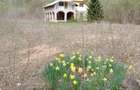 O oază de natură în inima munților: Casa + Teren de 30283 m2 în Tarcău - 2