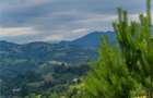 FILM! Cu view panoramic la 360 grade, teren 10.335 mp, Poiana Marului - 9
