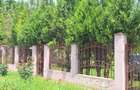 VILA DE VACANTA - Langa Bucuresti - locatie de weekend pentru natura si relaxare - 3