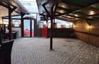 Inchiriere Spatiu Comercial, pretabil restaurant, zona Parcul Carol - 13