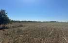 Exclusiv ! TUZLA - teren 10.000 mp cu deschidere 37 mp (Cod E8) - 11