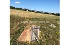 Teren de vanzare cu fundatie si pivnita, Cetariu, Bihor - 4