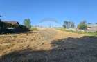 Teren intravilan, 7500 mp in Moara Carp / Strada Eternitatii-Suceava - 2