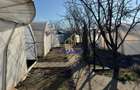 Teren intravilan vânzare - 2.750 mp – Dârvari/Tamadalu Mare (județul Călărași) - 8