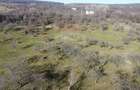 Teren 20.146 mp Dâmbu Rotund (Lomb).Extravilan.Potențial rezidențial - 10