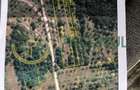 Teren 3.000 mp cu priveliște panoramică spre Munții Făgăraș - 12