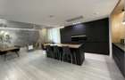 Penthouse with rooftop in Herastrau | Satul Francez - 12