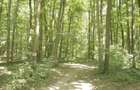 Oportunitate investitie exceptionala ! Pipera 352.400 mp. partial in intravilan - 2