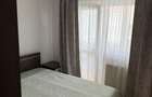 Apartament 2/3 camere de inchiriat zona Lipovei - 12