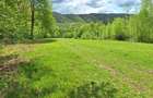 Vand teren extravilan 4.6 ha - 2