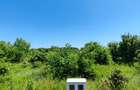 Lot pentru două case – Corbeanca Tamași - 11
