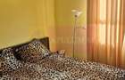 Apartament 3 camere, la parc IOR - 6