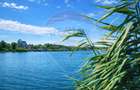 Vila la Lacul Snagov deschidere 21 ml,  ponton propriu - 3