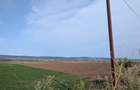 Sărata- lângă Mun. Bacău- 4000 mp- oportunitate investiție - 2