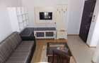 Apartament 2 camere COMPLEX COSMOPOLIS, Mobilat-Utilat MODERN - 7