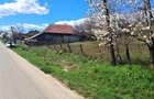 TEREN INTRAVILAN ȘI EXTRAVILAN POLOVRAGI - 9