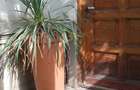 VILA DE INCHIRIAT- SPAIUL UNIRII- GRADINA- LOC PARCARE - 12