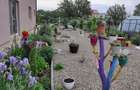 Proprietate unica Palazu Mare - 2 case , teren generos - 13