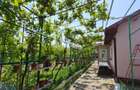 CASA  POIANA | PANOURI SOLARE | TEREN 800 MP - 29