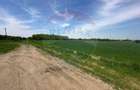 Teren 545,000mp Dragomiresti-Vale - 18